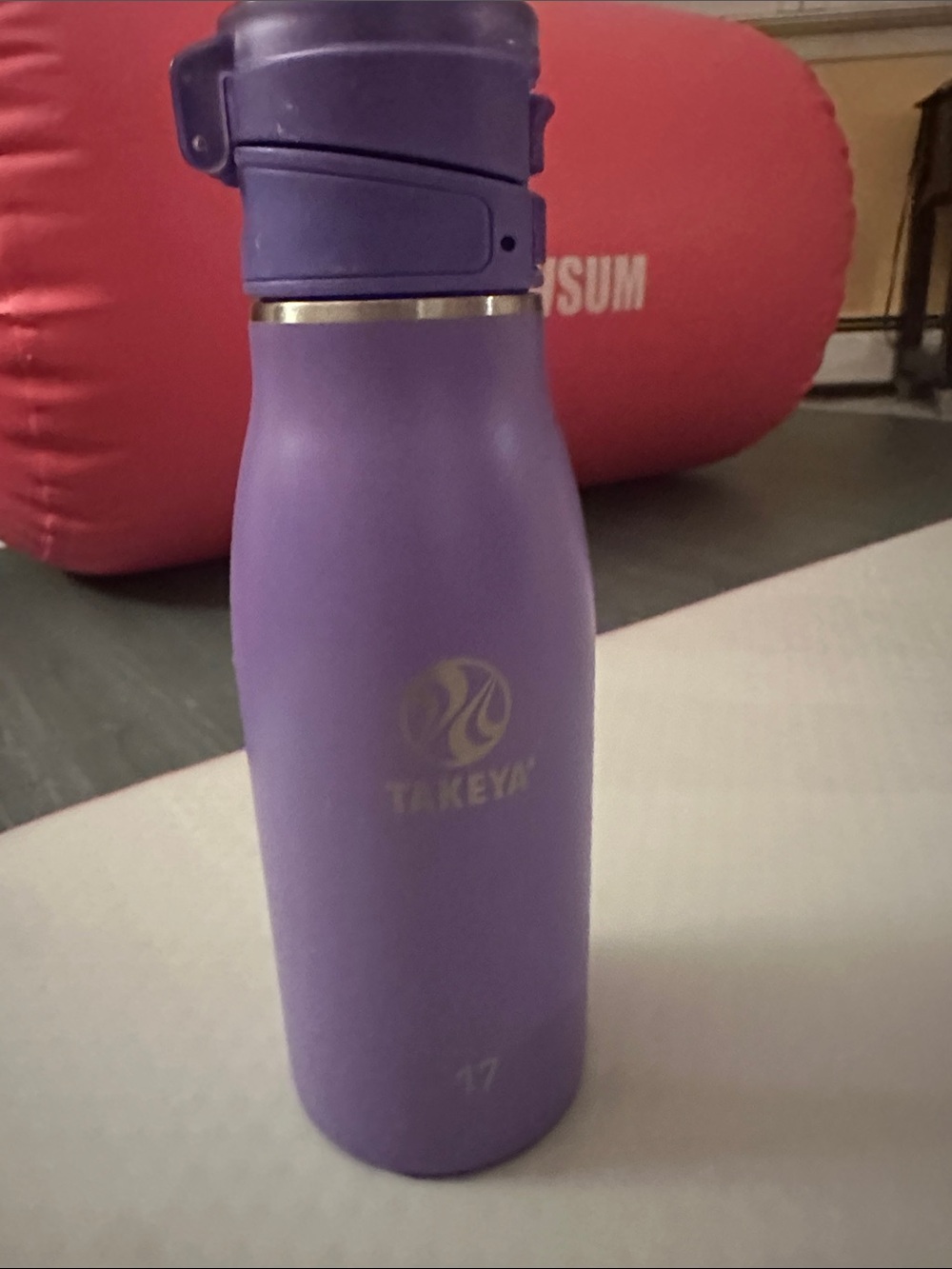 Takeya Purple Insulated Water Bottle - 17 oz